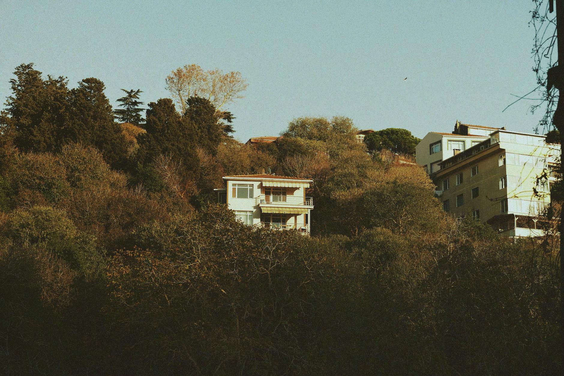 Beautiful home with clean gutters